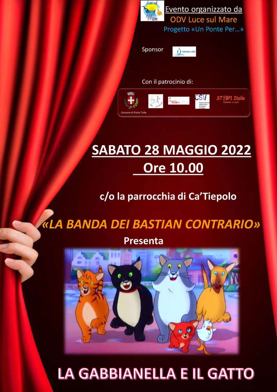 gabbianella_gatto_luce_sul_mare_porto_tolle_rovigo