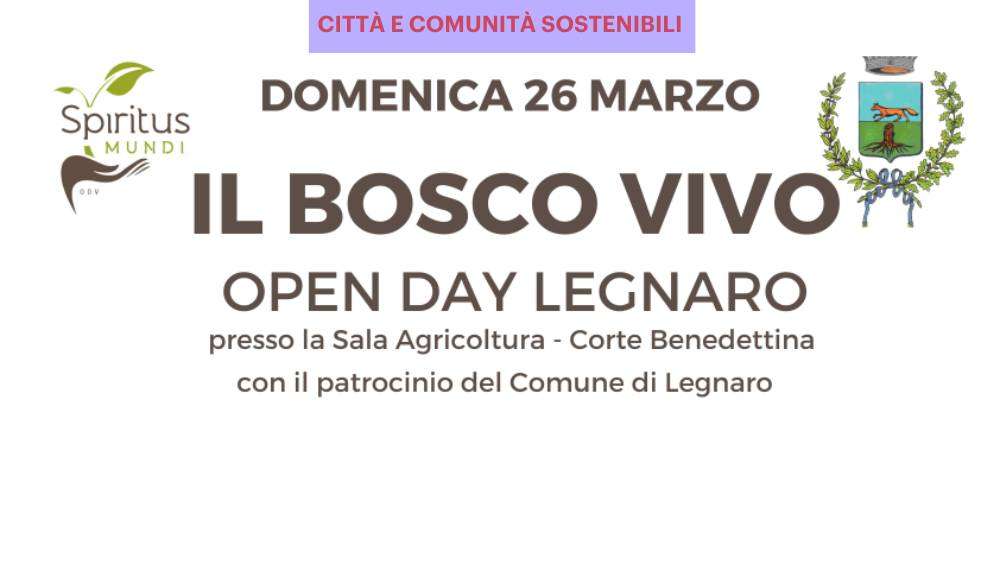 ambiente-bosco-verde