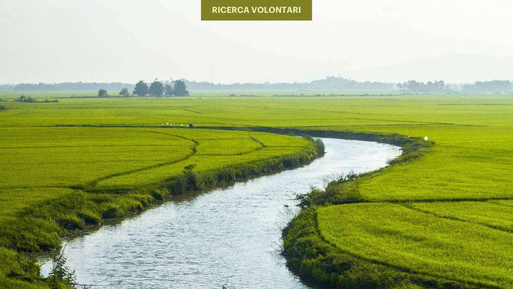 ricerca-volontari-prevenzione-alluvione