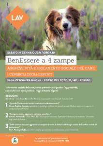 animali; cani