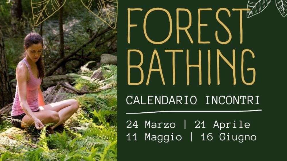 forest bathing; presentazione; progetto