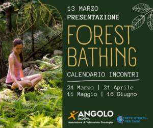 forest bathing; presentazione; progetto