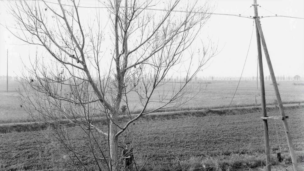 Another Landscape #3
