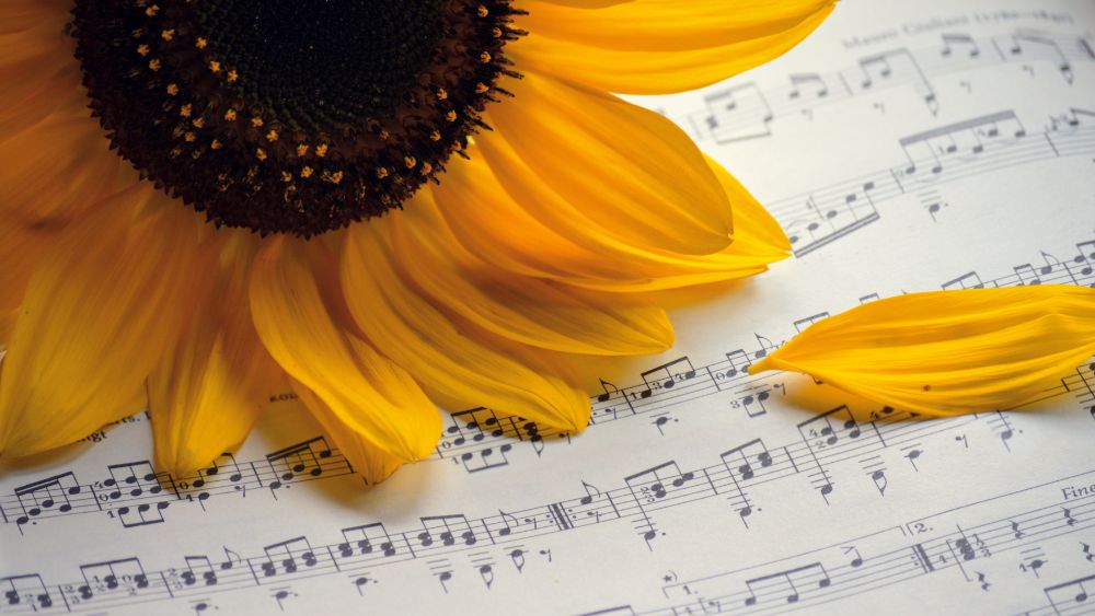 Per la XXIV Giornata del Sollievo la Casa Albergo per Anziani presenta un Concerto di musica corale ven. 23 maggio h21:00