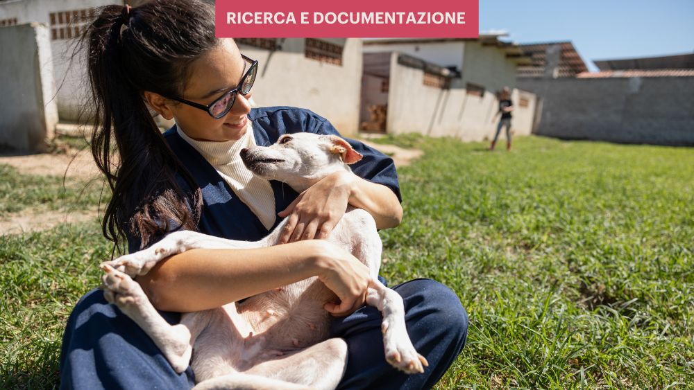 Indagine Istat: il volontariato italiano continua a evolversi, mantenendo la propria centralità nel rafforzamento del tessuto sociale.