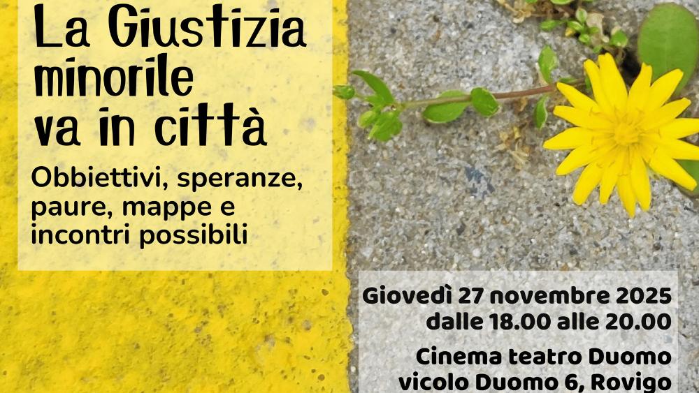Giovedì 27 novembre, dalle 18.00 alle 20.00, si terrà presso il Cinema teatro Duomo di Rovigo l'incontro "La Giustizia minorile va in città. Obbiettivi, speranze, paure, mappe e incontri possibile".